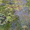 Claude Monet (1840-1926) Lo stagno delle ninfee, 1917-1919 circa
