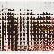 Maurizio Galimberti, Twin Towers Attack