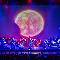 The Wall Live Orchestra