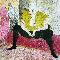 Henri de Toulouse-Lautrec La clownesse assise 1896