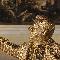 Jan Fabre The Quiet Source