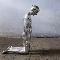 Aron Demetz - Metamorfosi, 2006 (Giornata del Contemporaneo 2006 -MI)
